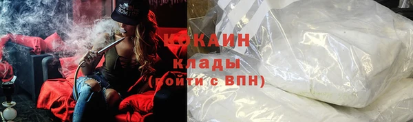 мет Алексин