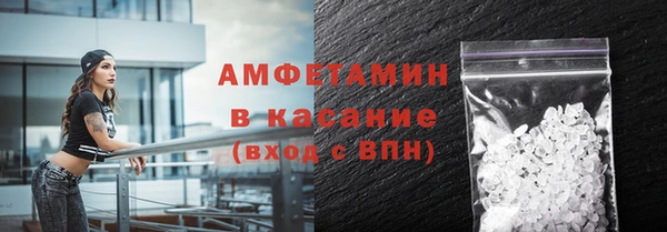 мет Алексин