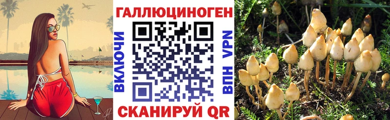 Галлюциногенные грибы мухоморы  даркнет сайт  Кореновск 