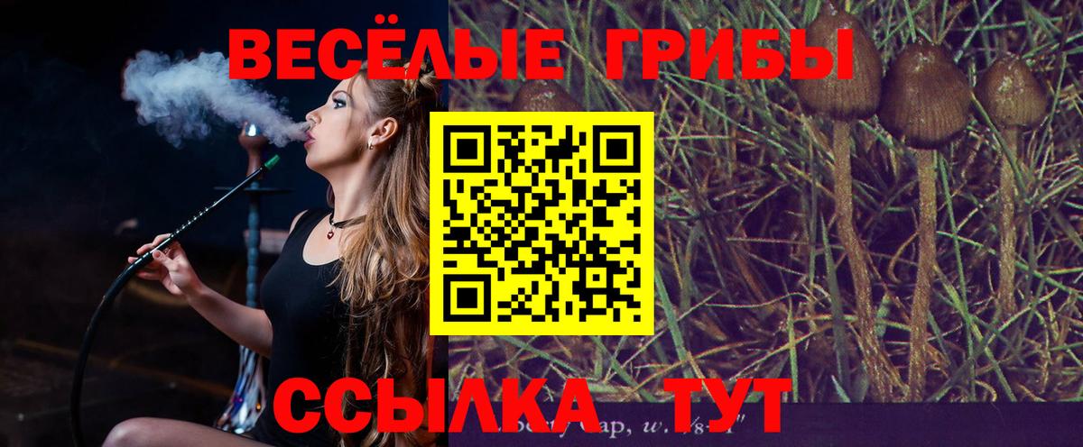 Галлюциногенные грибы Magic Shrooms  купить наркотики сайты  Кореновск  Вход с VPN 